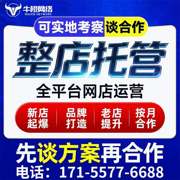 蚌埠电商代运营
