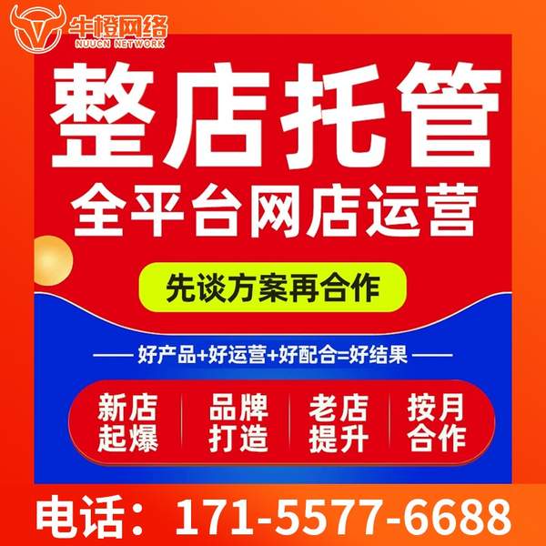 蚌埠电商代运营